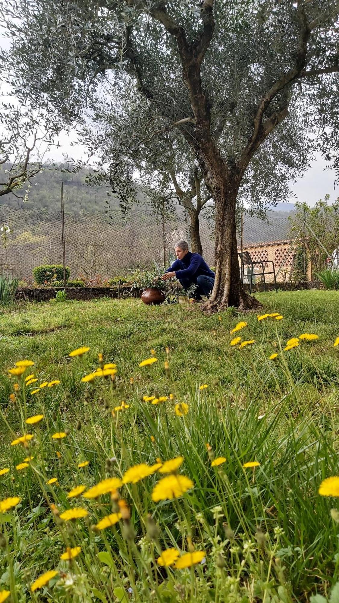 Corte Martinola Bed&Breakfast In Franciacorta Ome Экстерьер фото